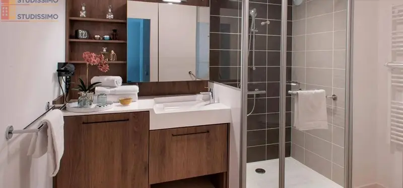 Studio meublé 45m² Sarreguemines - Lumineux - Photo 3