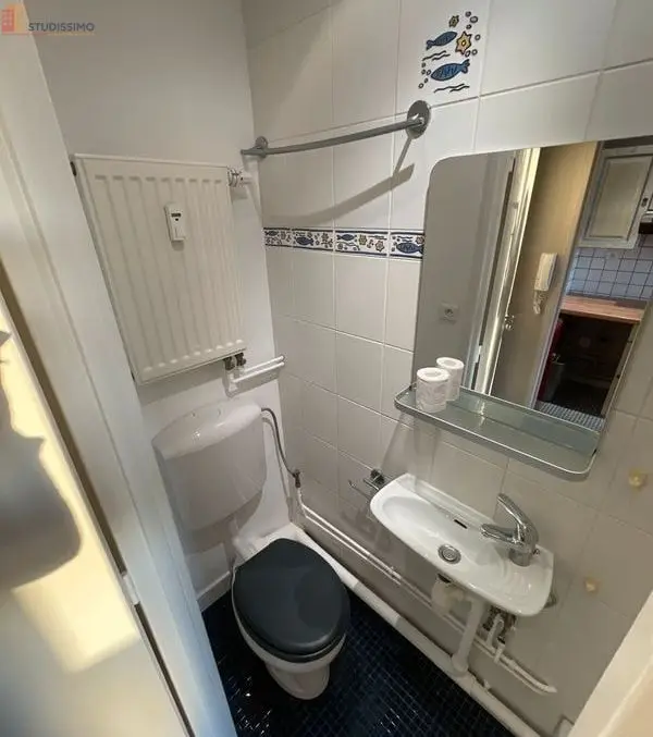 Studio meublé 20m² Thionville 57100 - Proche gare, lumineux - Photo 1