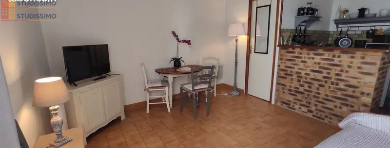 Studio meublé 20m² Pouilly-sur-Loire - Vue sur la Loire - Photo 9