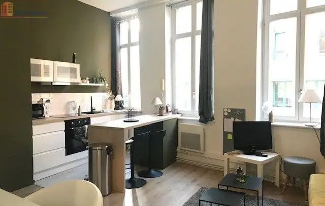 Studio meublé 25m² Lille 59800 - Meublé, DPE C - Photo 8