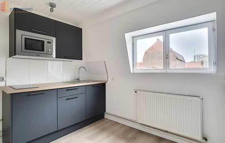 Studio 25m² Lille 59800 - Lumineux, 2e étage - Photo 3