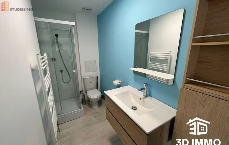 Studio 33m² Avesnes-sur-Helpe - Meublé, DPE D - Photo 1