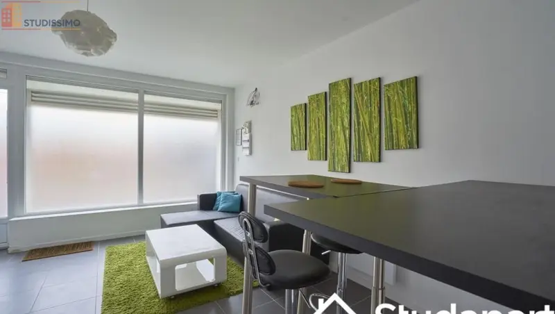 Studio meublé 12m² Ronchin - Meublé, DPE A - Photo 1