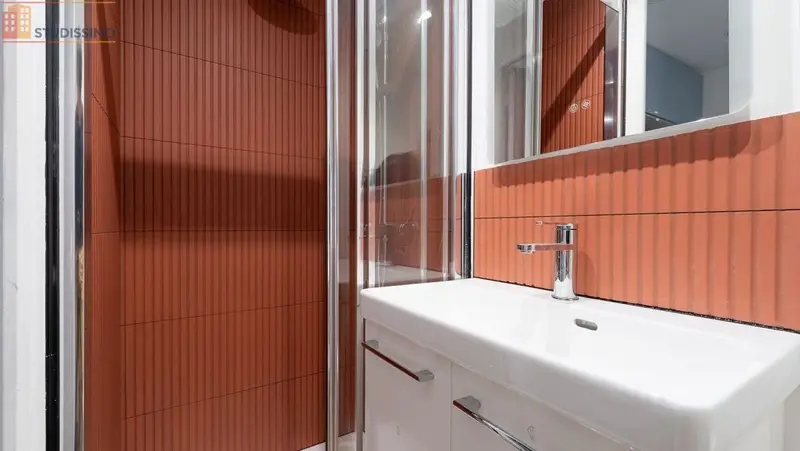 Studio meublé 20m² Lille 59800 - Meublé, DPE D - Photo 55