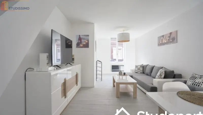 Studio meublé 14m² Loos 59120 - Meublé, lumineux - Photo 2
