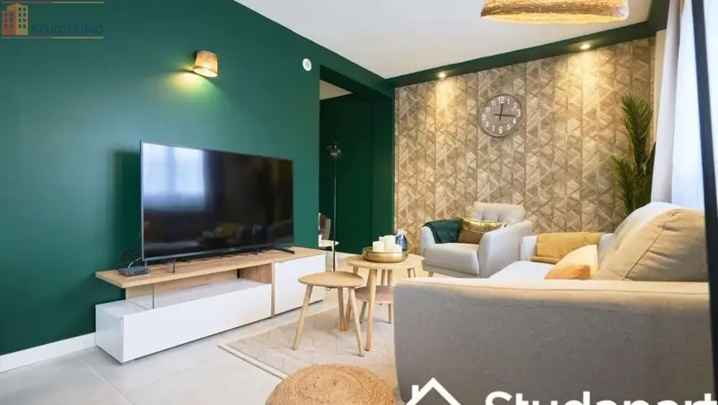 Studio meublé 11m² Lille 59000 - Calme, lumineux - Photo 1