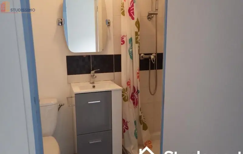 Studio meublé 20m² Lille 59800 - Meublé, DPE D - Photo 6
