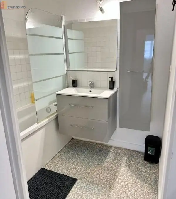 Studio 13m² Mons-en-Baroeul - Meublé, lumineux - Photo 3