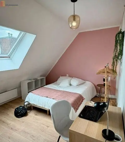 Studio meublé 12m² Lille 59000 - Meublé, lumineux - Photo 6