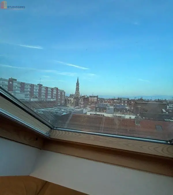 Studio meublé 20m² Lille 59800 - Lumineux, dernier étage - Photo 6