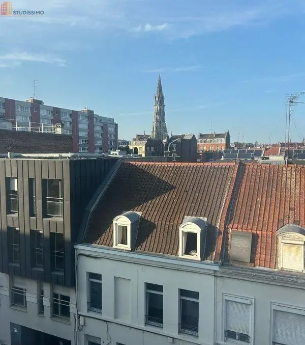 Studio meublé 20m² Lille 59800 - Lumineux, dernier étage - Photo 5