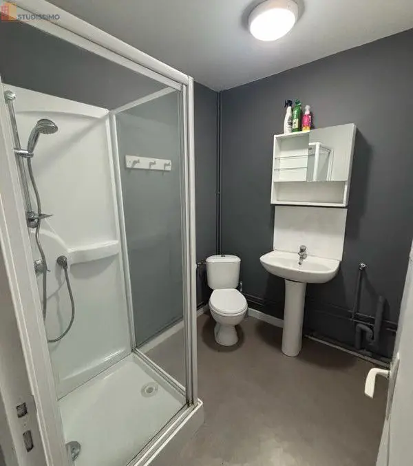 Studio 22m² Villeneuve-d'Ascq - 1er étage, lumineux - Photo 1