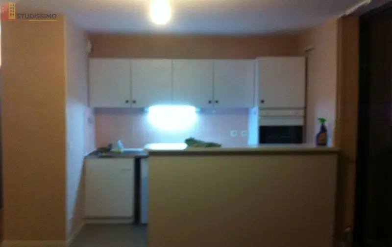 Studio 27m² Lille 59800 - Étage élevé, lumineux - Photo 8