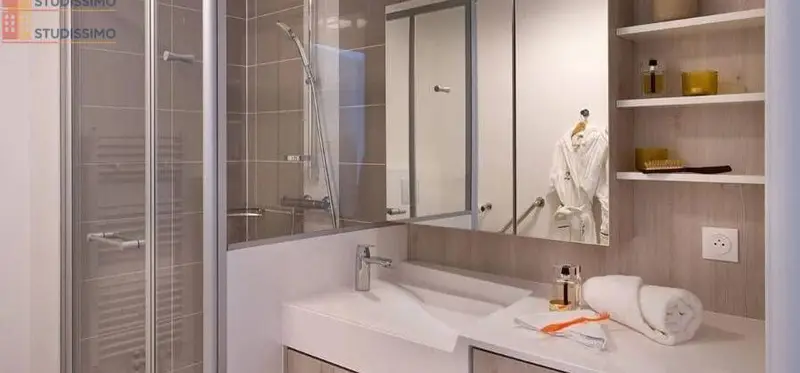 Studio meublé 30m² Marcq-en-Baroeul - Lumineux - Photo 9