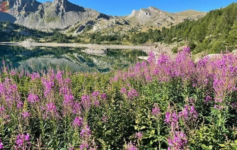 Studio 14m² Allos 04260 - Vue montagne - Photo 1