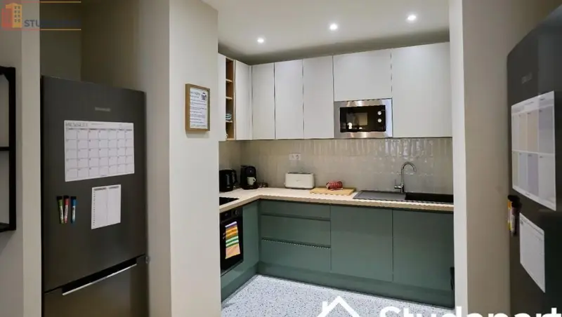 Studio meublé 12m² Villeneuve-d'Ascq - Meublé, DPE C - Photo 1