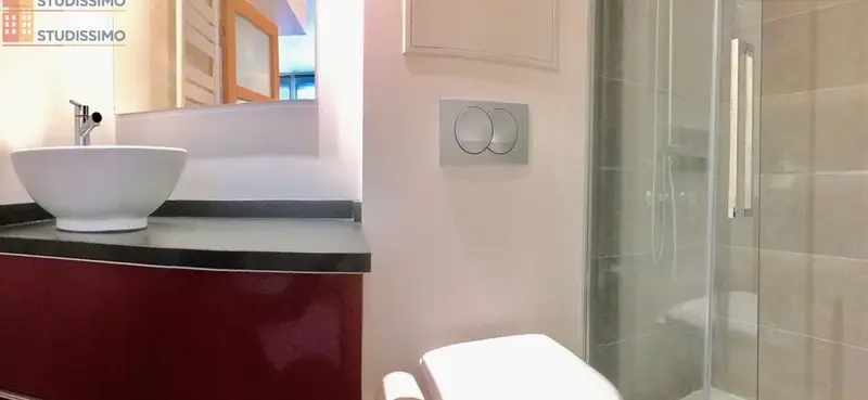 Studio meublé 20m² Lille 59800 - Meublé, DPE C - Photo 10