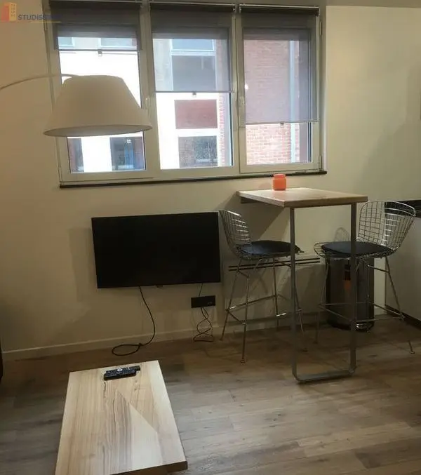 Studio meublé 20m² Lille 59800 - Meublé, DPE C - Photo 8