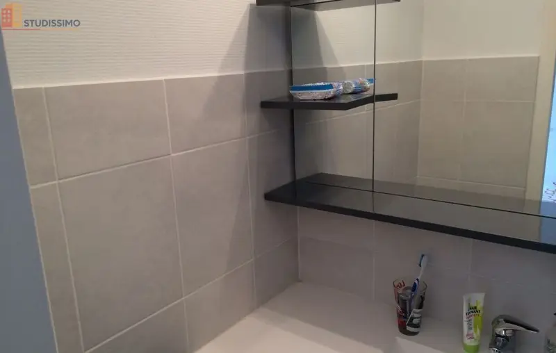Studio 20m² Villeneuve-d'Ascq Annappes - Photo 3