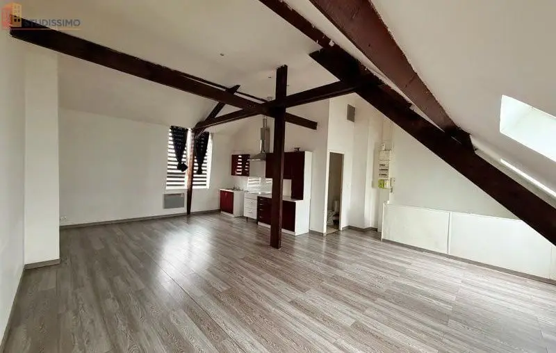 Studio 44m² Wasquehal - Grand et lumineux - Photo 7