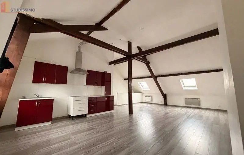 Studio 44m² Wasquehal - Grand et lumineux - Photo 4