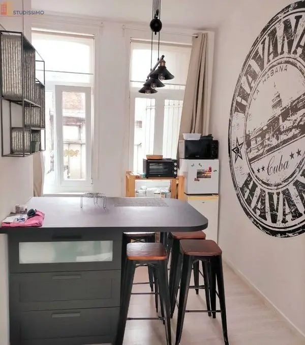 Studio meublé 28m² Lille 59000 - Meublé, lumineux - Photo 5