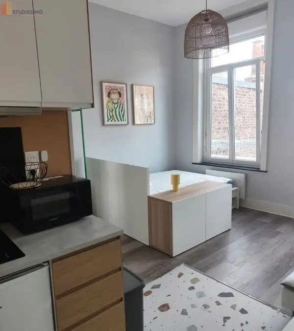 Studio meublé 21m² Lille Vauban - Proche cathédrale, lumineux - Photo 4