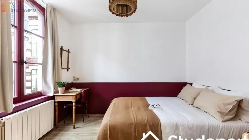 Studio meublé 17m² Lille 59000 - Calme, lumineux - Photo 5