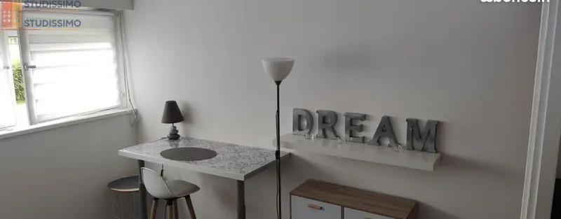 Studio 22m² Croix 59170 - Meublé, lumineux - Photo 8