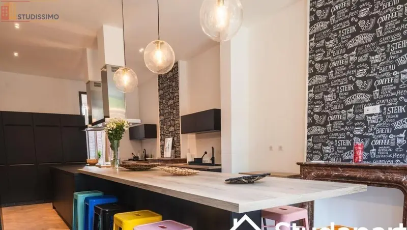 Studio 61m² Roubaix - Meublé, faible consommation énergétique - Photo 3