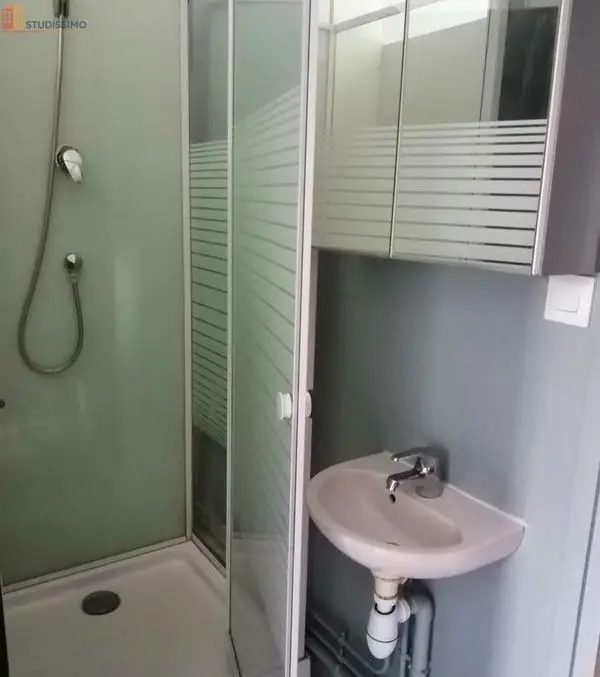 Studio 11m² Villeneuve-d'Ascq - Meublé, dernier étage - Photo 5