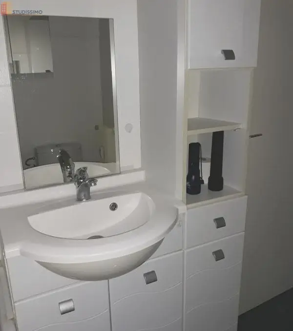 Studio meublé 32m² La Madeleine - Cave, parking - Photo 2