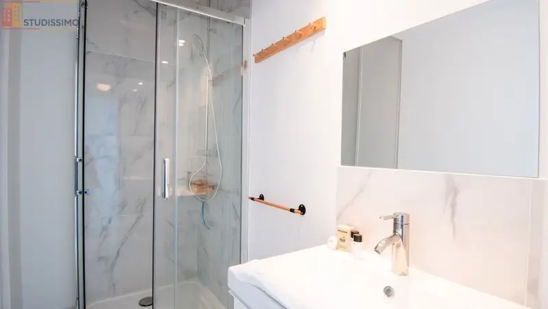 Studio meublé 30m² Marcq-en-Baroeul - Grand, lumineux - Photo 1