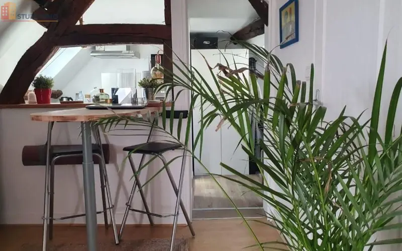 Studio meublé 30m² Senlis 60300 - Centre-ville, lumineux - Photo 3