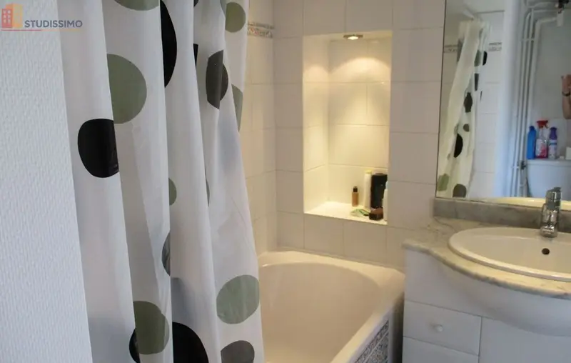 Studio 28m² Clermont-Ferrand - Mansardé, lumineux - Photo 3