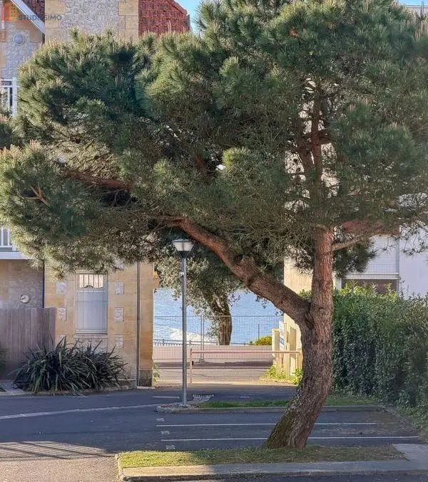 Studio 23m² Saint-Palais-sur-Mer - DPE C - Photo 14