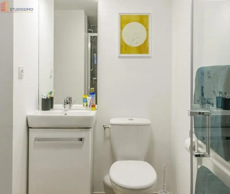 Studio meublé 19m² Clermont-Ferrand 63000 - Meublé, DPE C - Photo 8
