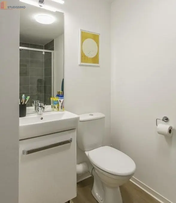 Studio meublé 25m² Clermont-Ferrand 63000 - Meublé, DPE C - Photo 6