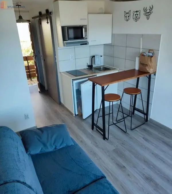 Studio meublé 17m² Font-Romeu-Odeillo-Via - Meublé, garage - Photo 1