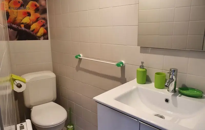 Studio 18m² Amélie-les-Bains-Palalda - Meublé, idéal étudiant - Photo 2