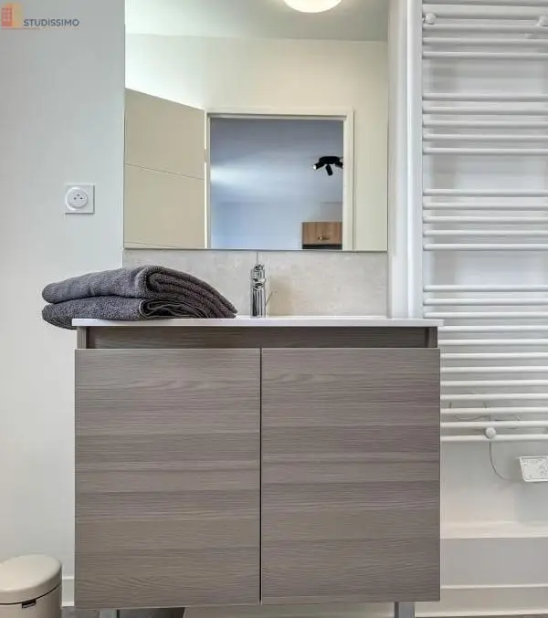 Studio meublé 20m² Clermont-Ferrand 63100 - Meublé, DPE D - Photo 11