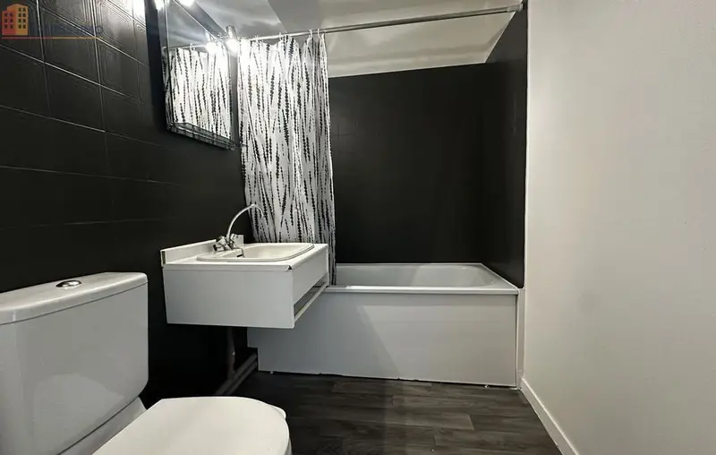 Studio meublé 24m² Clermont-Ferrand 63000 - Meublé, 1 pièce - Photo 3