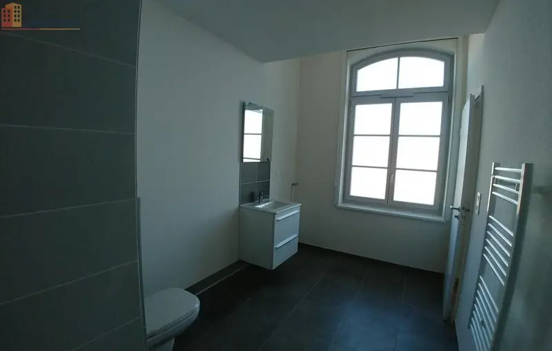 Studio 33m² Haguenau - lumineux - Photo 4