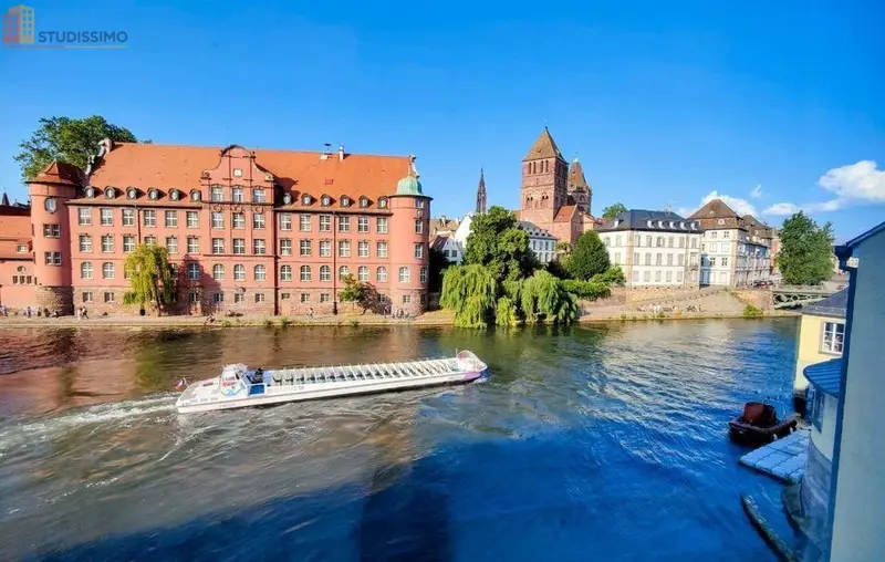 Studio meublé 24m² Strasbourg Finkwiller - Vue cathédrale, lumineux - Photo 2