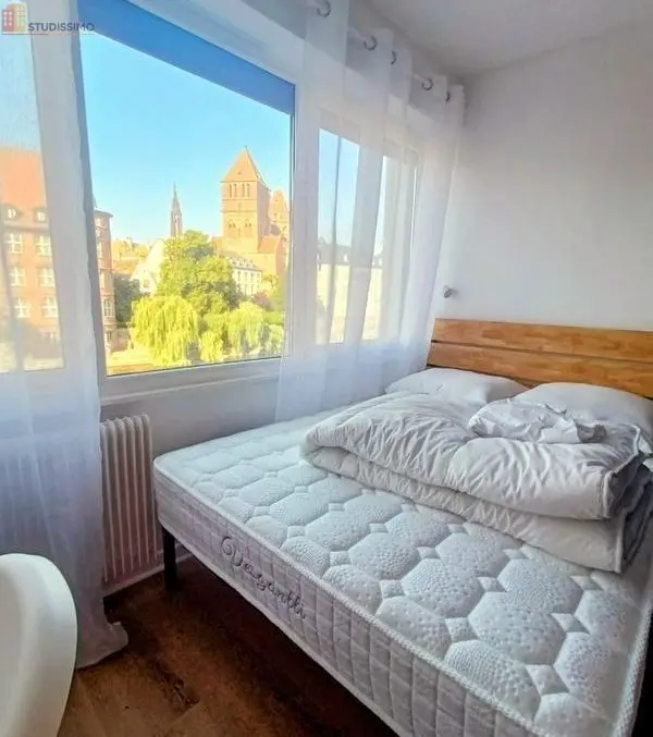 Studio meublé 24m² Strasbourg Finkwiller - Vue cathédrale, lumineux - Photo 1