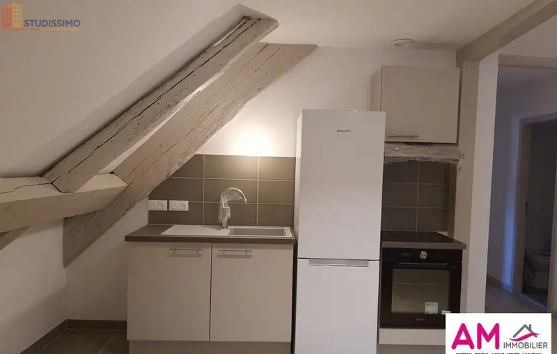 Studio 45m² Colmar - Lumineux, 2e étage - Photo 4