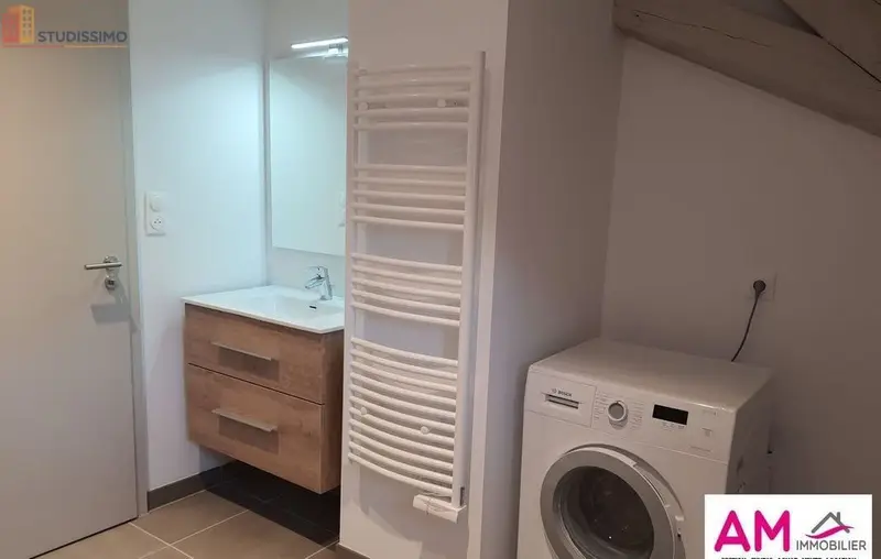Studio 45m² Colmar - Lumineux, 2e étage - Photo 3