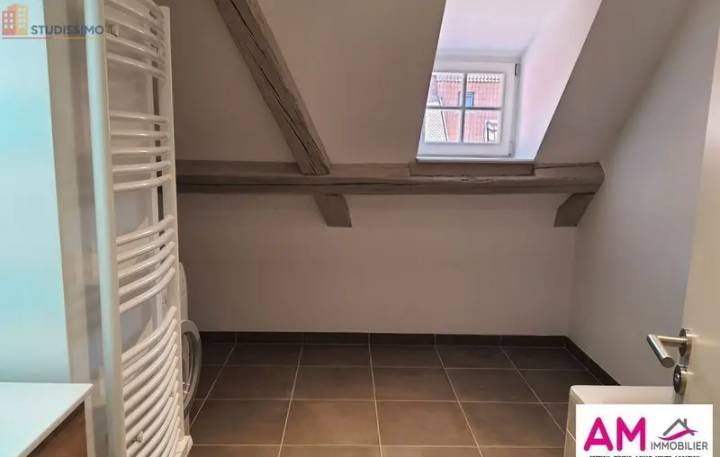 Studio 45m² Colmar - Lumineux, 2e étage - Photo 2