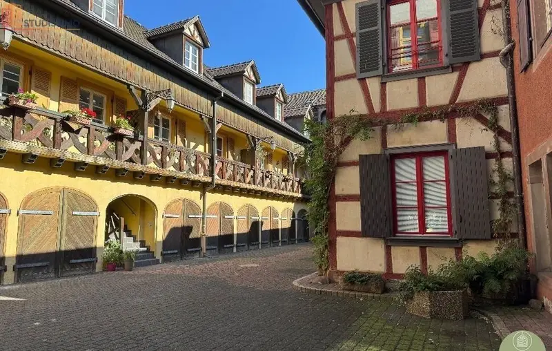 Studio 44m² Colmar 68000 - Lumineux, spacieux - Photo 1