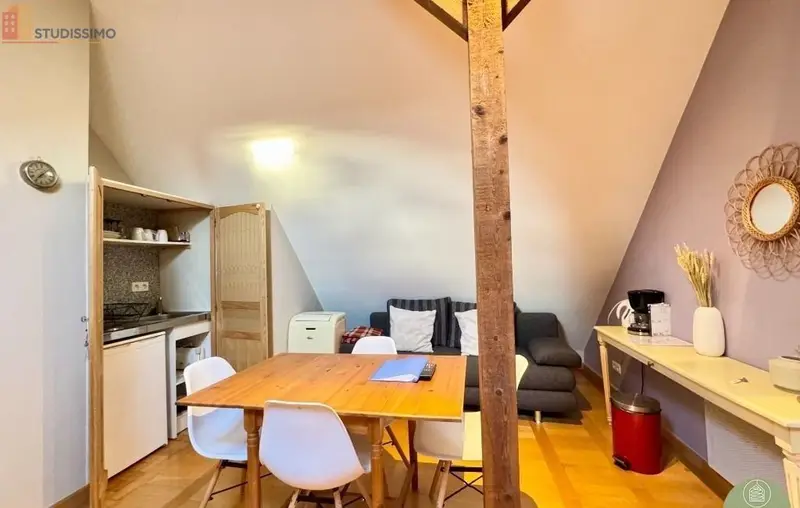 Studio meublé 21m² Colmar - Meublé, DPE D - Photo 4